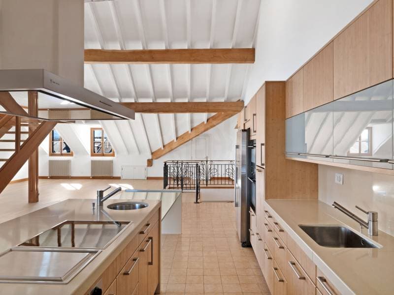 Exceptional Apartment - Geneva (3)