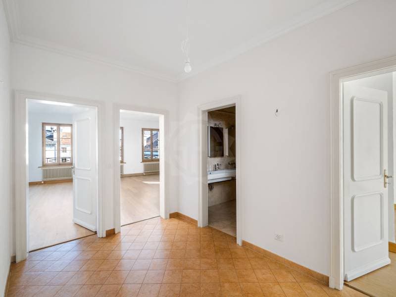 Appartement exceptionnel - Genève (7)