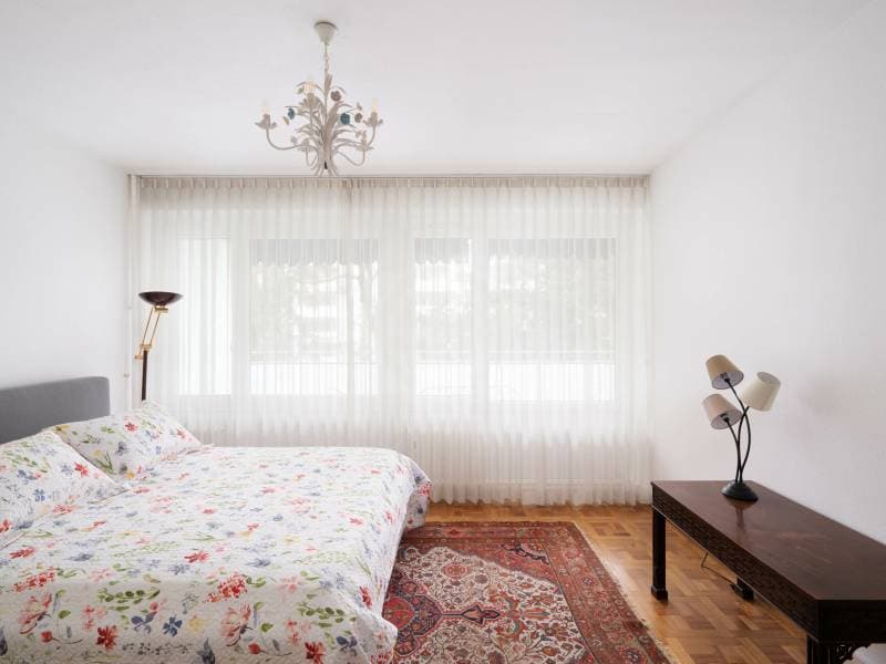 Beautiful apartment - Geneva (11)