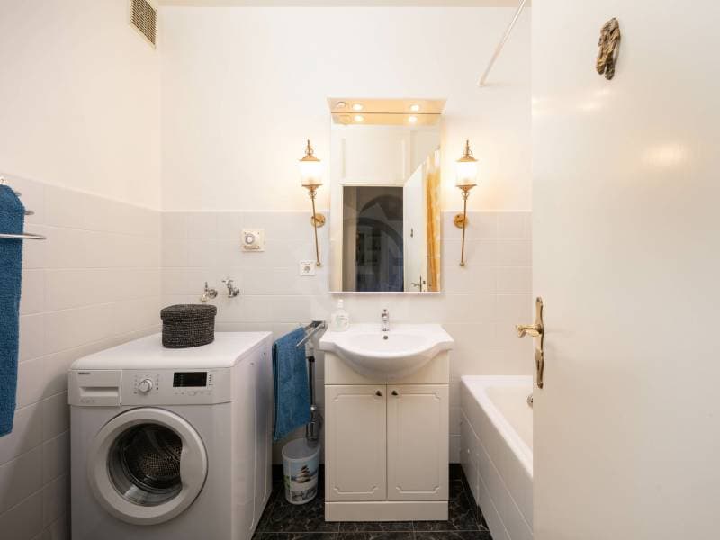 Beautiful apartment - Geneva (10)