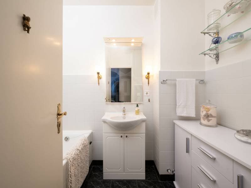 Beautiful apartment - Geneva (12)