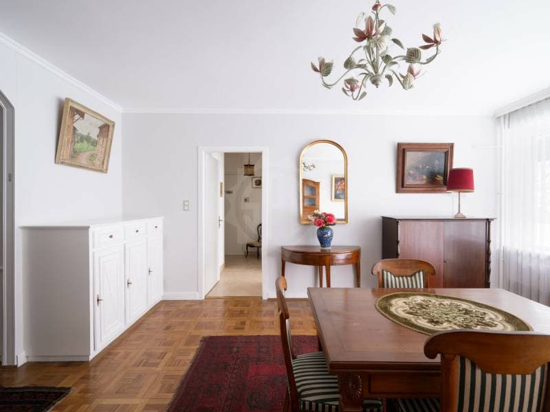 Beautiful apartment - Geneva (5)