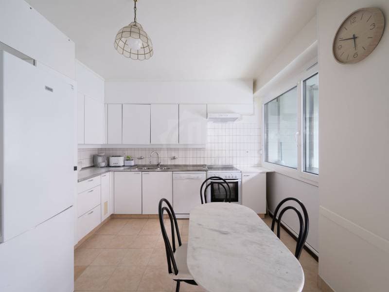 Beautiful apartment - Geneva (3)