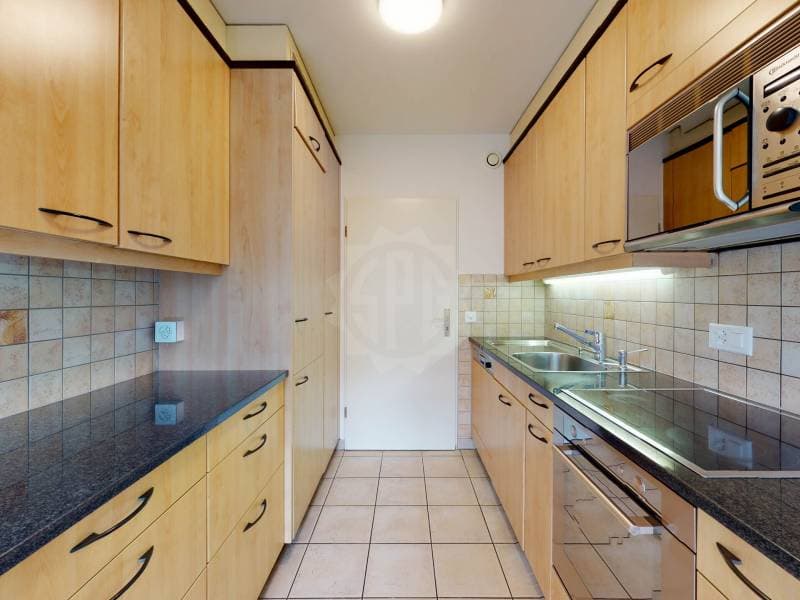 Pleasant Apartment - Bellevue (4)