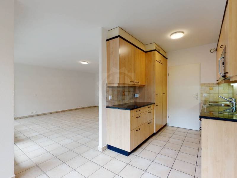 Pleasant Apartment - Bellevue (5)