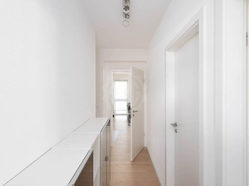 Magnifique appartement - Carouge GE (6)