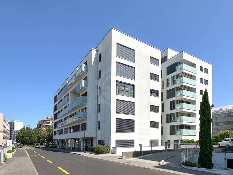 Magnifique appartement - Carouge GE (10)