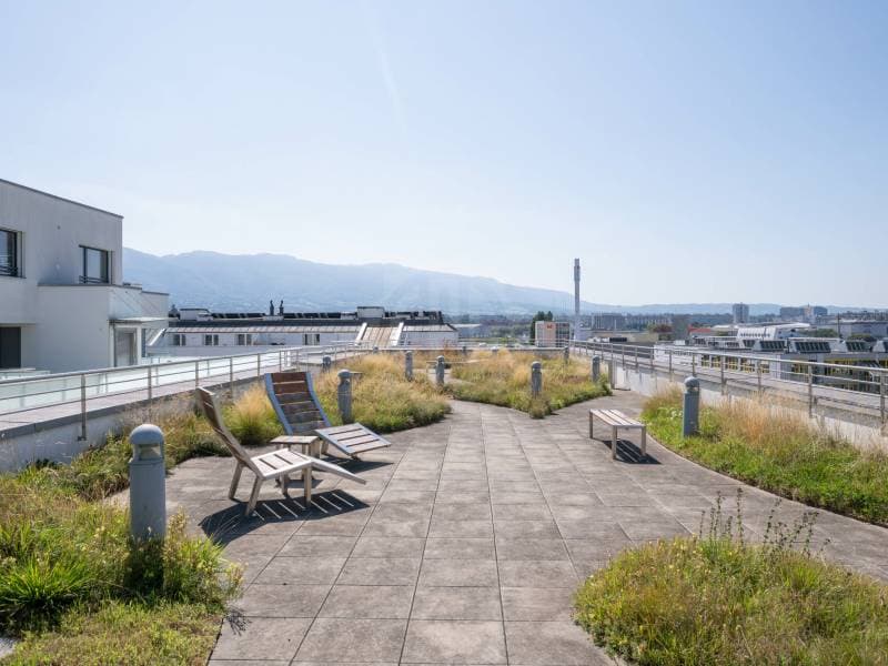 Magnifique appartement - Carouge GE (11)