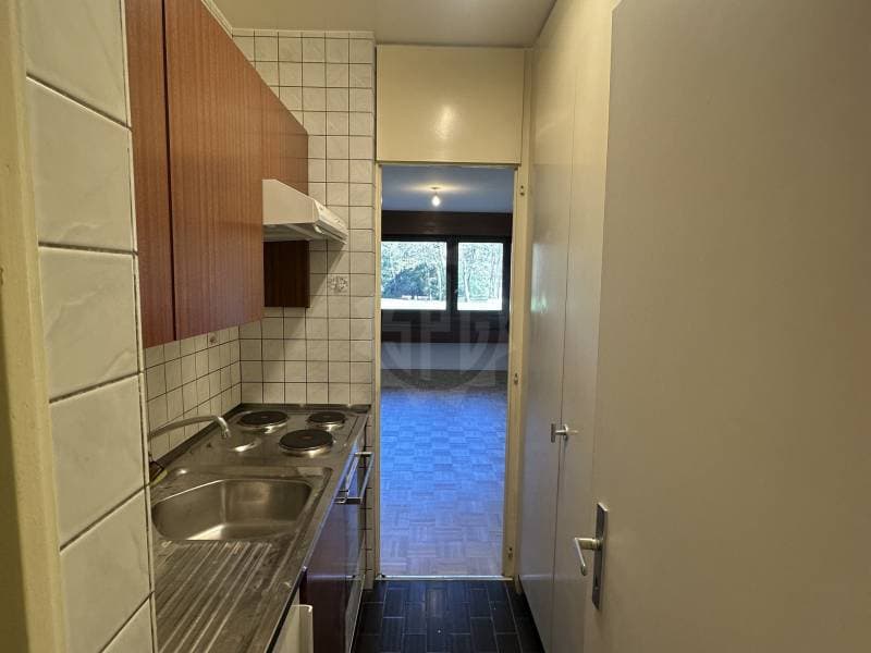Pleasant apartment - Geneva (1)
