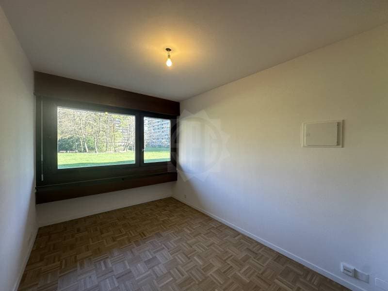 Pleasant apartment - Geneva (2)