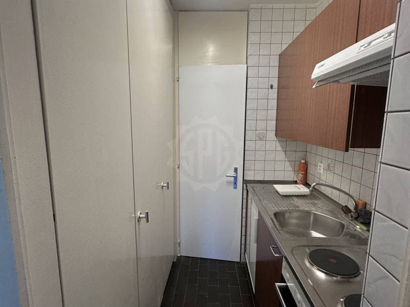 Pleasant apartment - Geneva (5)