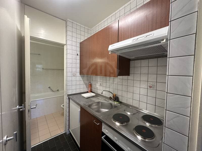 Pleasant apartment - Geneva (4)