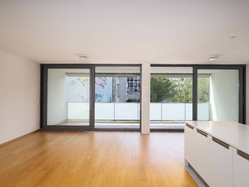 Magnificent apartment - Carouge GE (2)