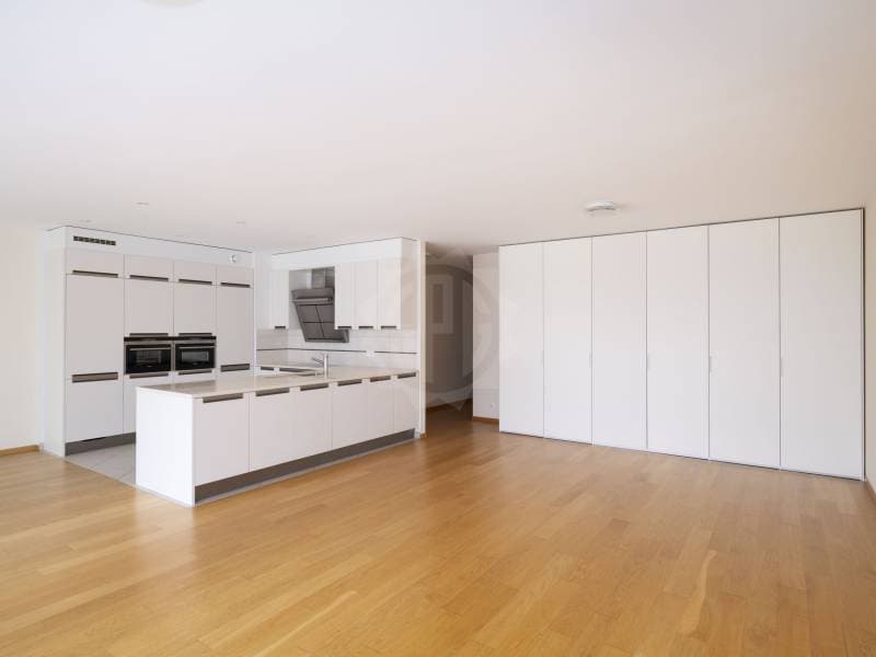 Magnificent apartment - Carouge GE (3)