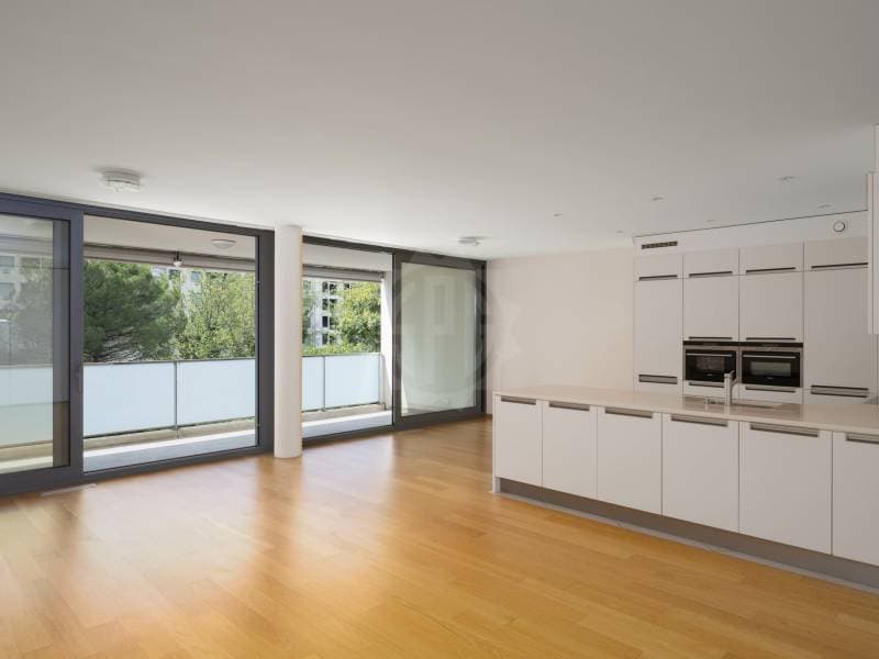 Magnificent apartment - Carouge GE (1)
