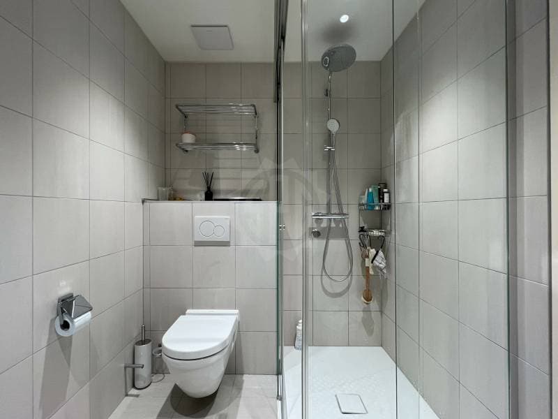 Prächtige Wohnung - Vandoeuvres (10)