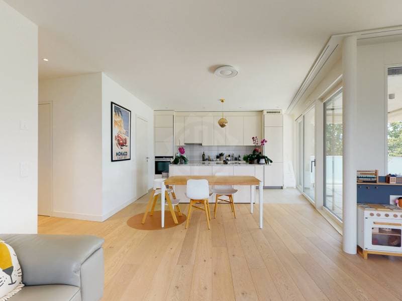 Prächtige Wohnung - Vandoeuvres (2)