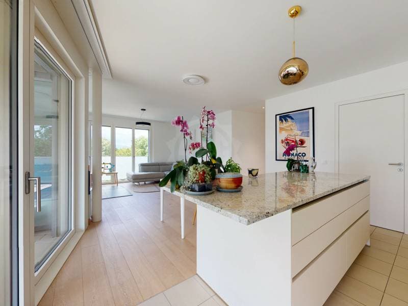 Prächtige Wohnung - Vandoeuvres (4)