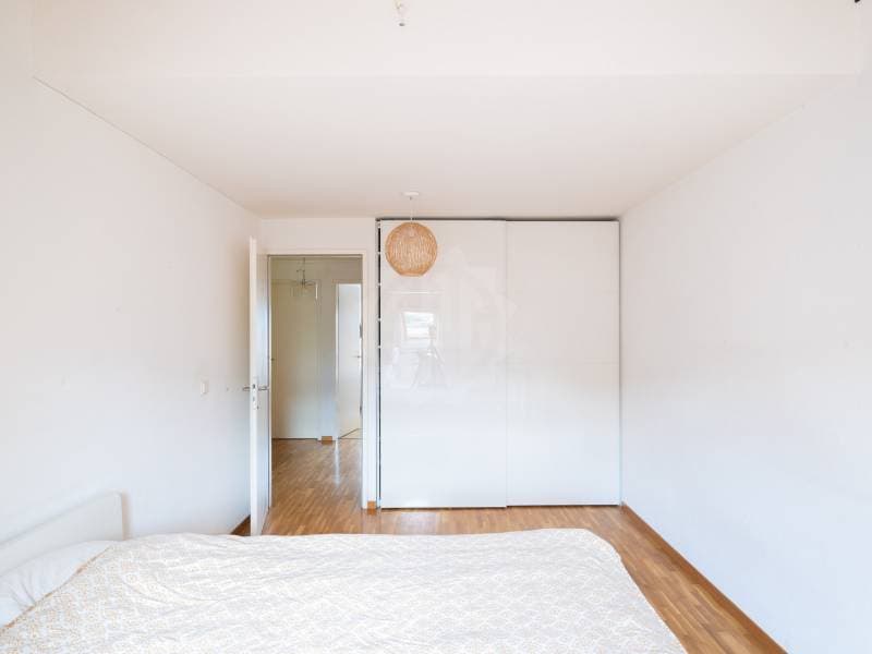Appartement spacieux - Plan-les-Ouates (11)