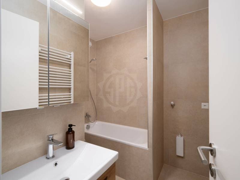 Magnifique appartement - Genève (9)