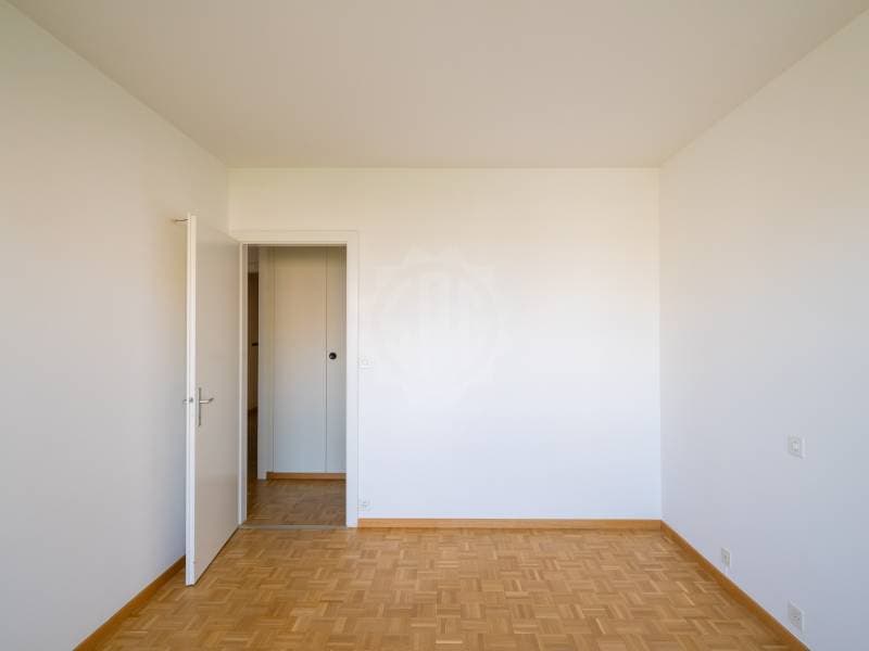 Geräumiges Appartement - Thônex (9)
