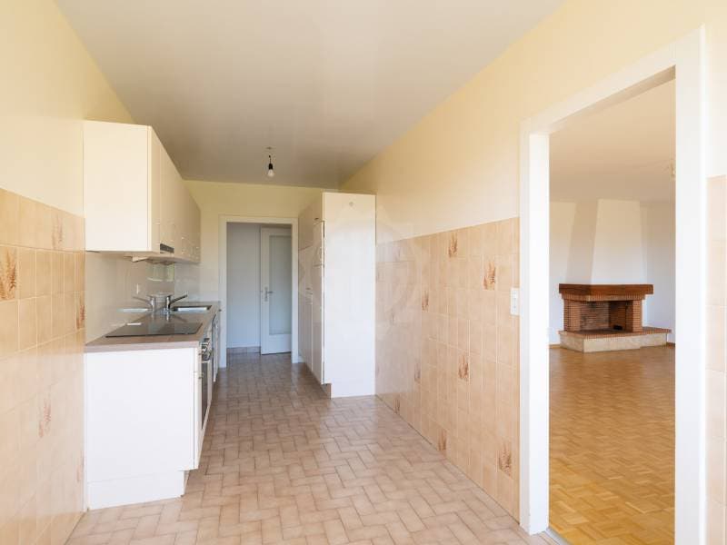 Geräumiges Appartement - Thônex (3)
