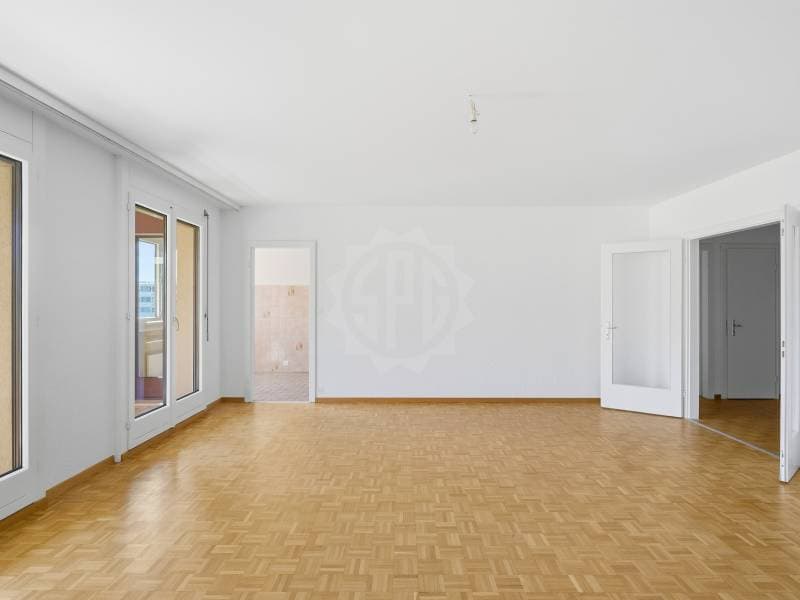 Geräumiges Appartement - Thônex (7)