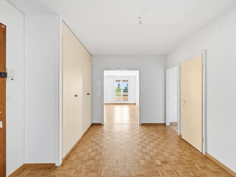 Geräumiges Appartement - Thônex (5)