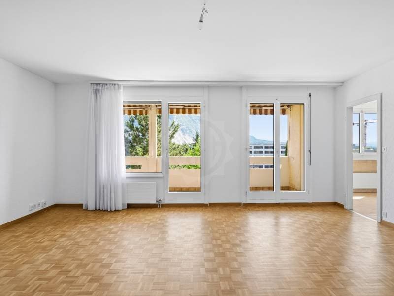 Geräumiges Appartement - Thônex (6)