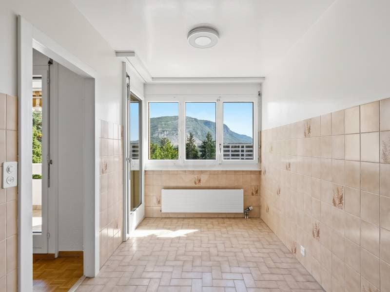Geräumiges Appartement - Thônex (2)