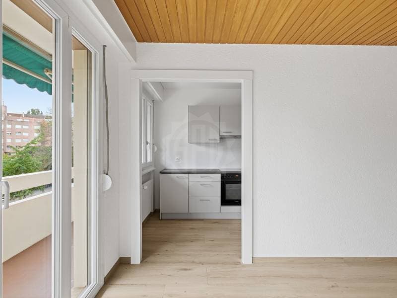 Magnifique appartement - Genève (3)