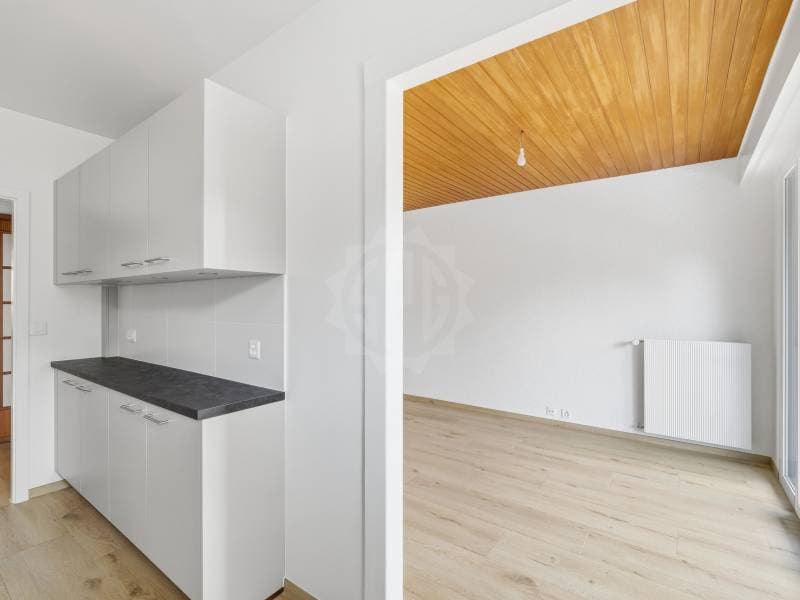Magnifique appartement - Genève (4)