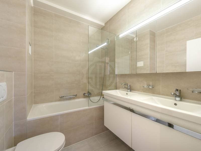 Prächtiges Appartement - Versoix (8)