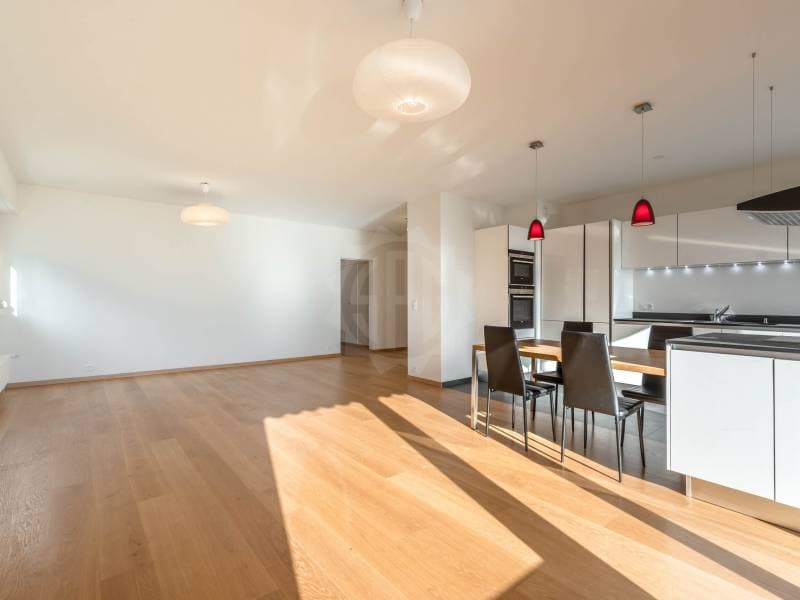 Prächtiges Appartement - Versoix (4)
