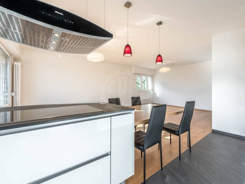 Prächtiges Appartement - Versoix (3)