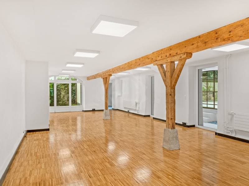 Exceptional Villa - Chêne-Bougeries (12)
