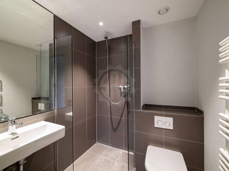Exceptional Villa - Chêne-Bougeries (9)