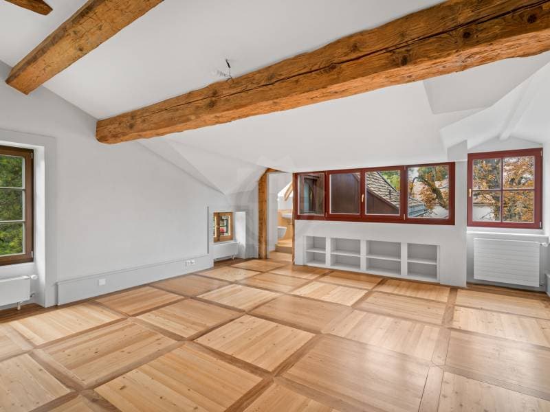 Exceptional Villa - Chêne-Bougeries (6)