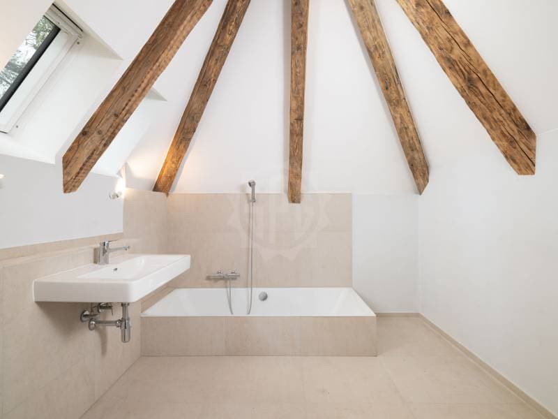 Exceptional Villa - Chêne-Bougeries (7)