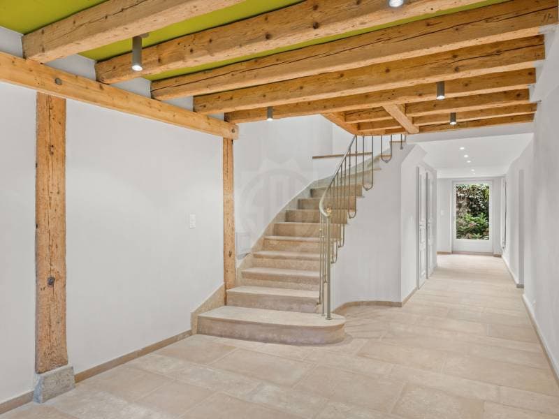 Exceptional Villa - Chêne-Bougeries (1)