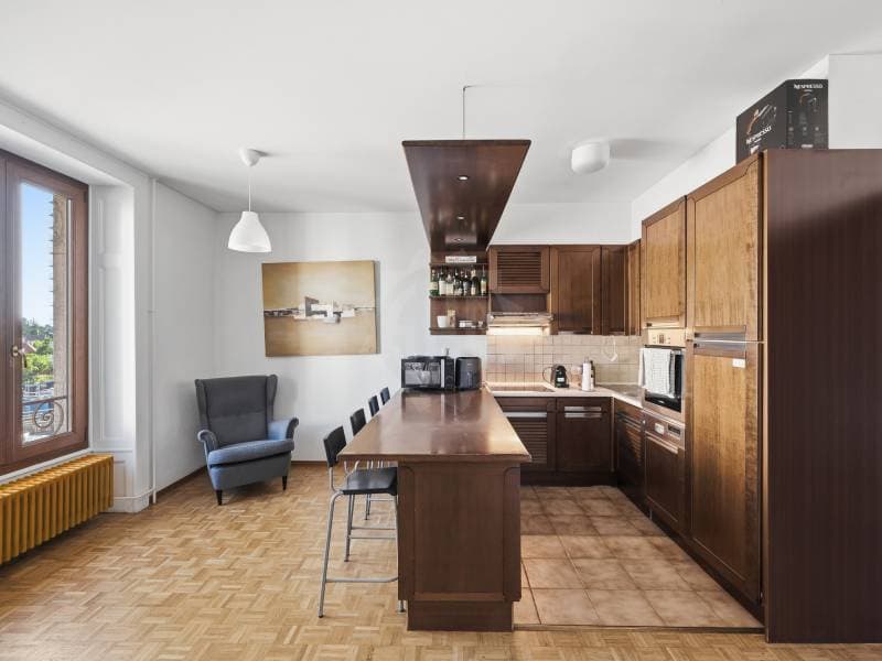 Angenehmes Appartement - Chêne-Bourg (3)