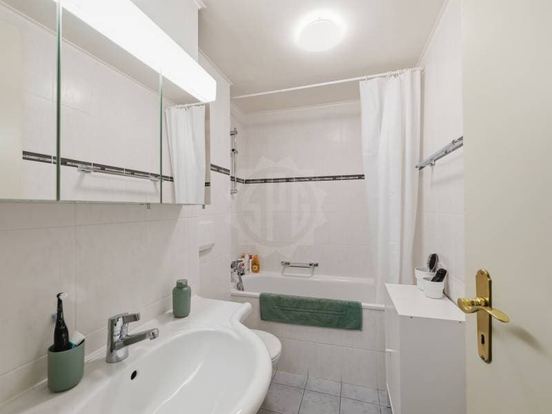 Angenehmes Appartement - Chêne-Bourg (11)