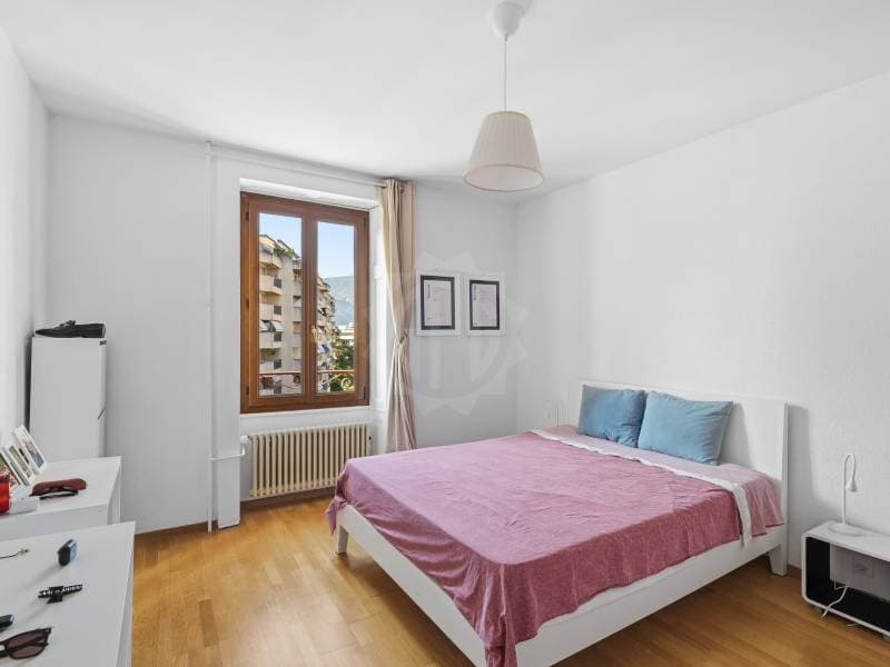 Angenehmes Appartement - Chêne-Bourg (8)