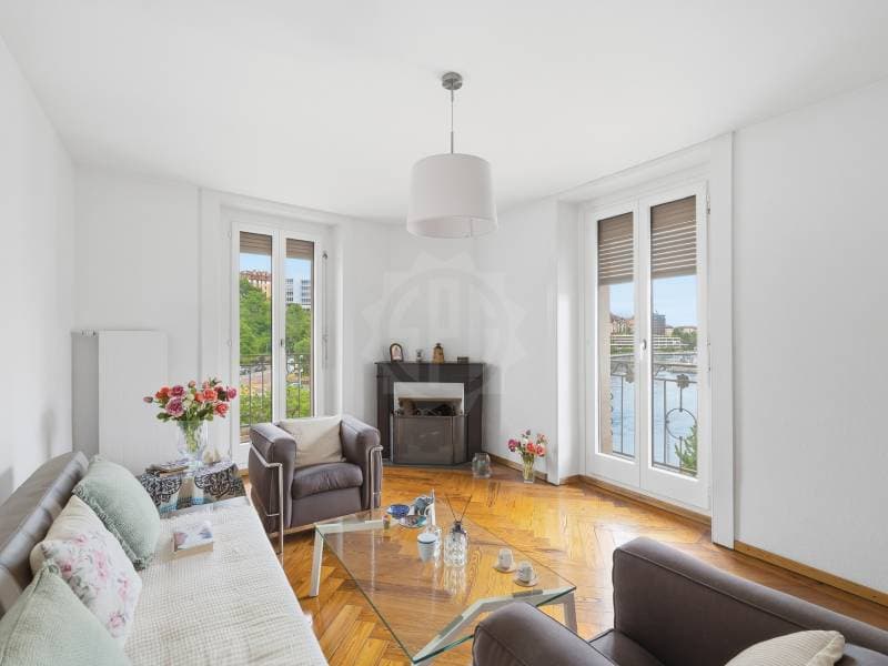 Helles Apartment - Genf (4)