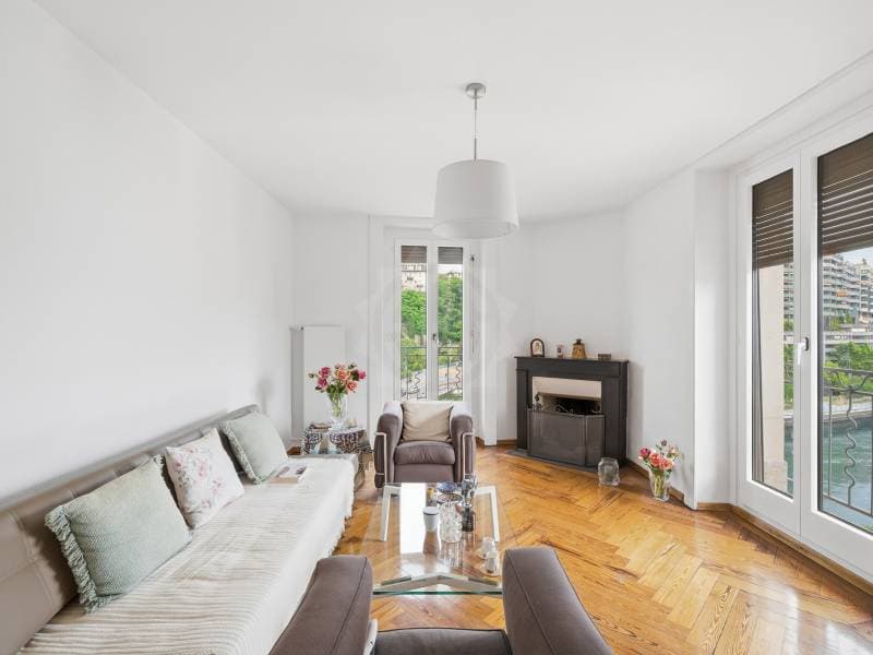Helles Apartment - Genf (3)