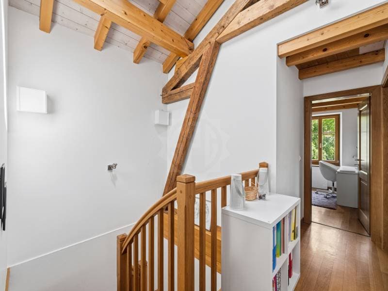 Charmante Villa - Bernex (8)