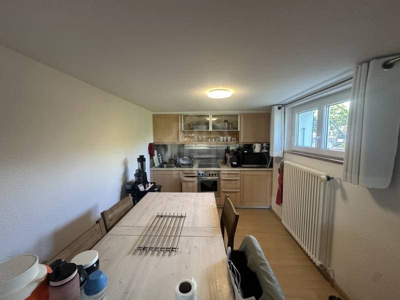 Angenehmes Appartement - Confignon (4)