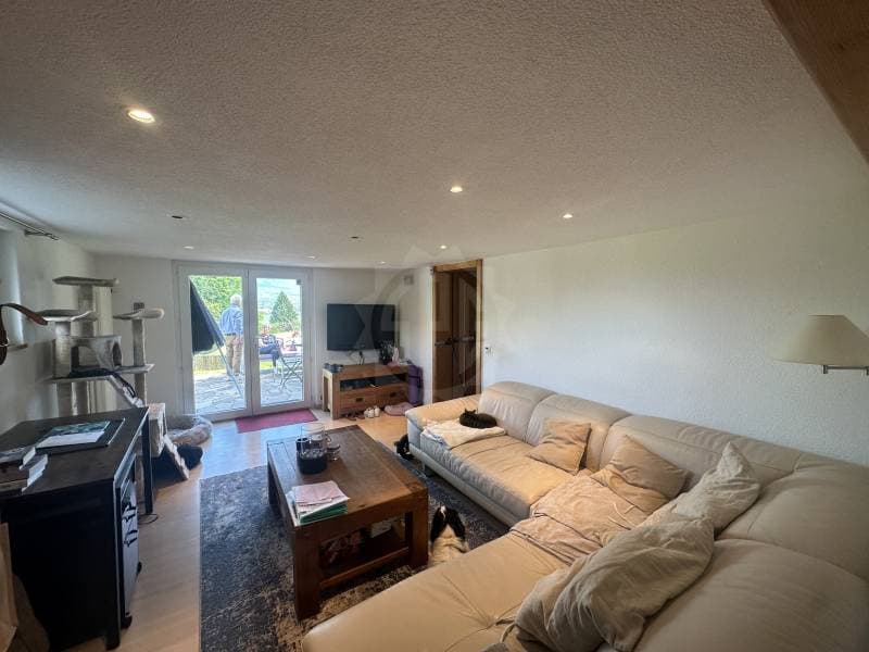 Angenehmes Appartement - Confignon (5)