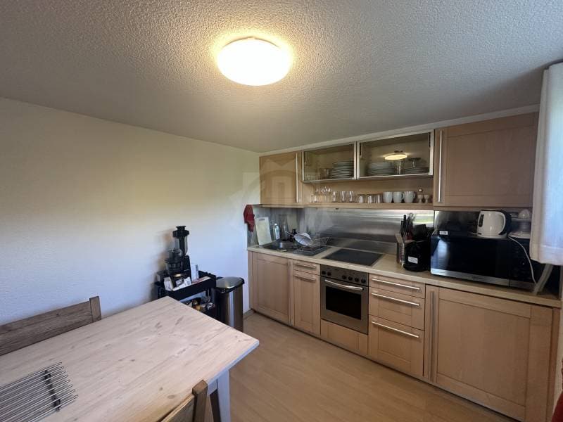 Angenehmes Appartement - Confignon (3)