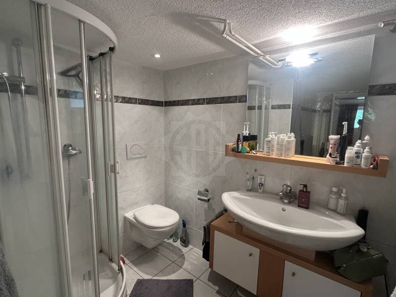 Angenehmes Appartement - Confignon (6)